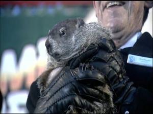 Raw: Punxsutawney Phil Sees Shadow, More Winter