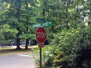 <p>A large mountain lion has been seen in the Dogwood Circle neighborhood in LaFayette. (Messenger photo/Josh O’Bryant)</p>