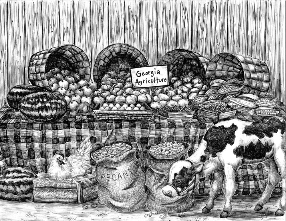 Essay Contest To Win A Farm