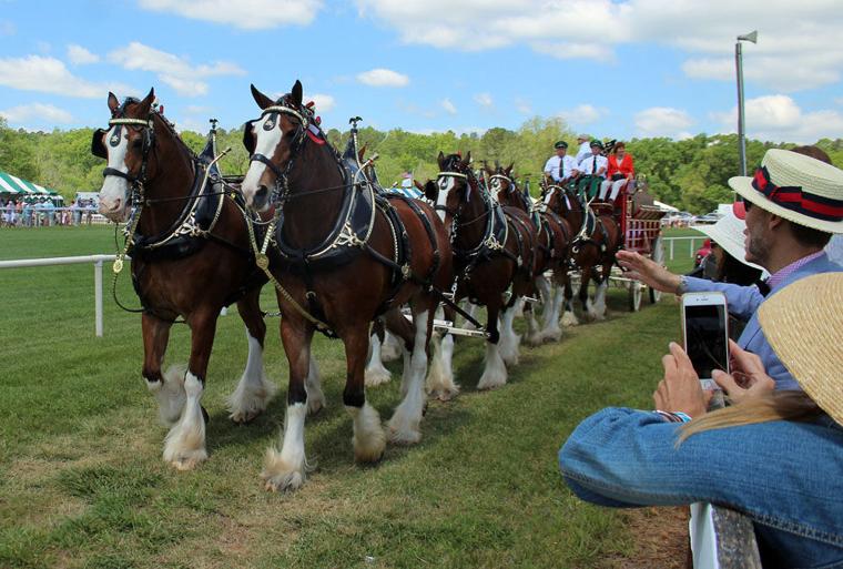 Atlanta Steeplechase at Kingston Downs Northwest News News