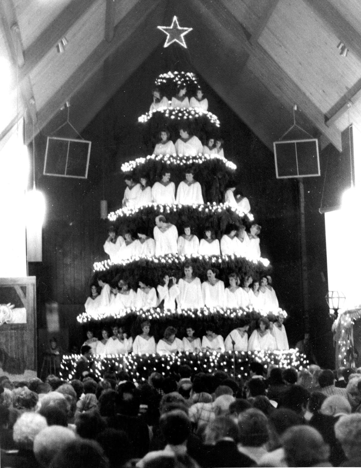 28 best singing christmas tree grand island ne you 28 best singing christmas tree grand island ne you