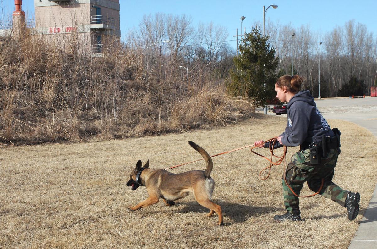 Service Dog Training Omaha Ne Service Dog Training Omaha Ne