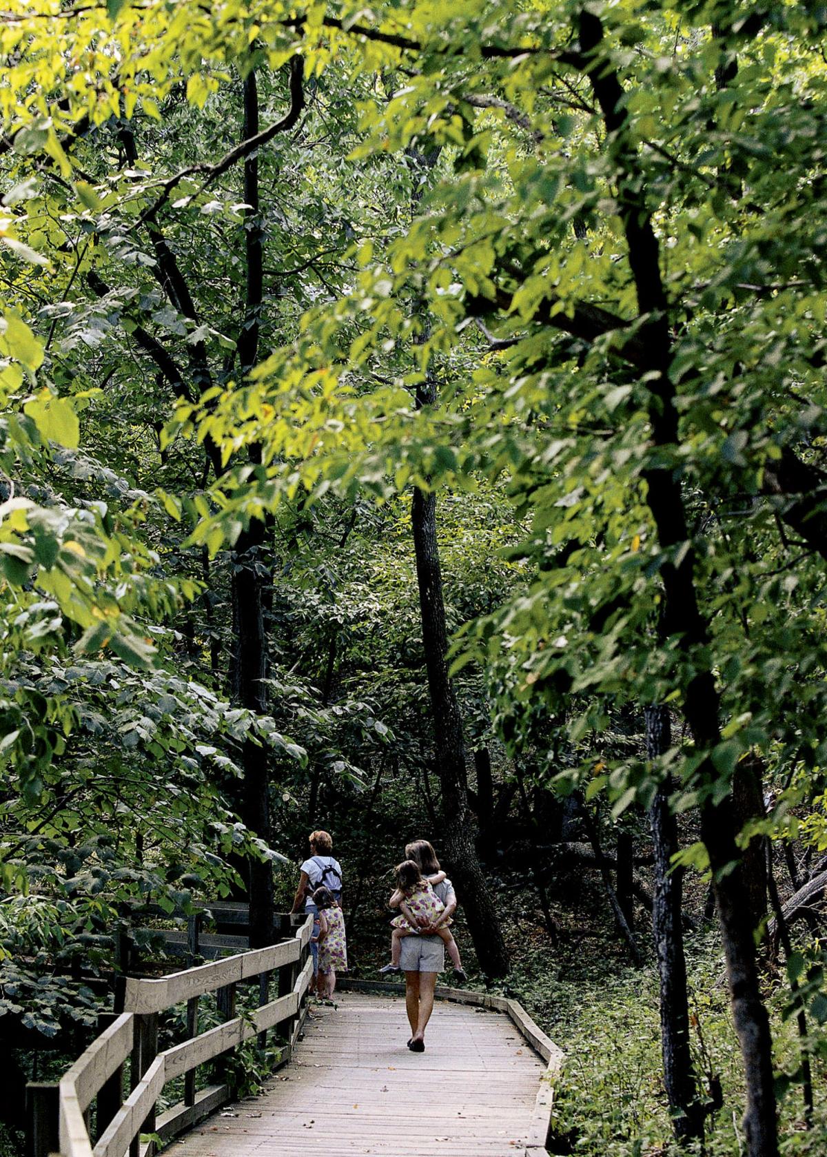 Build fairy houses at Fontenelle Forest Living