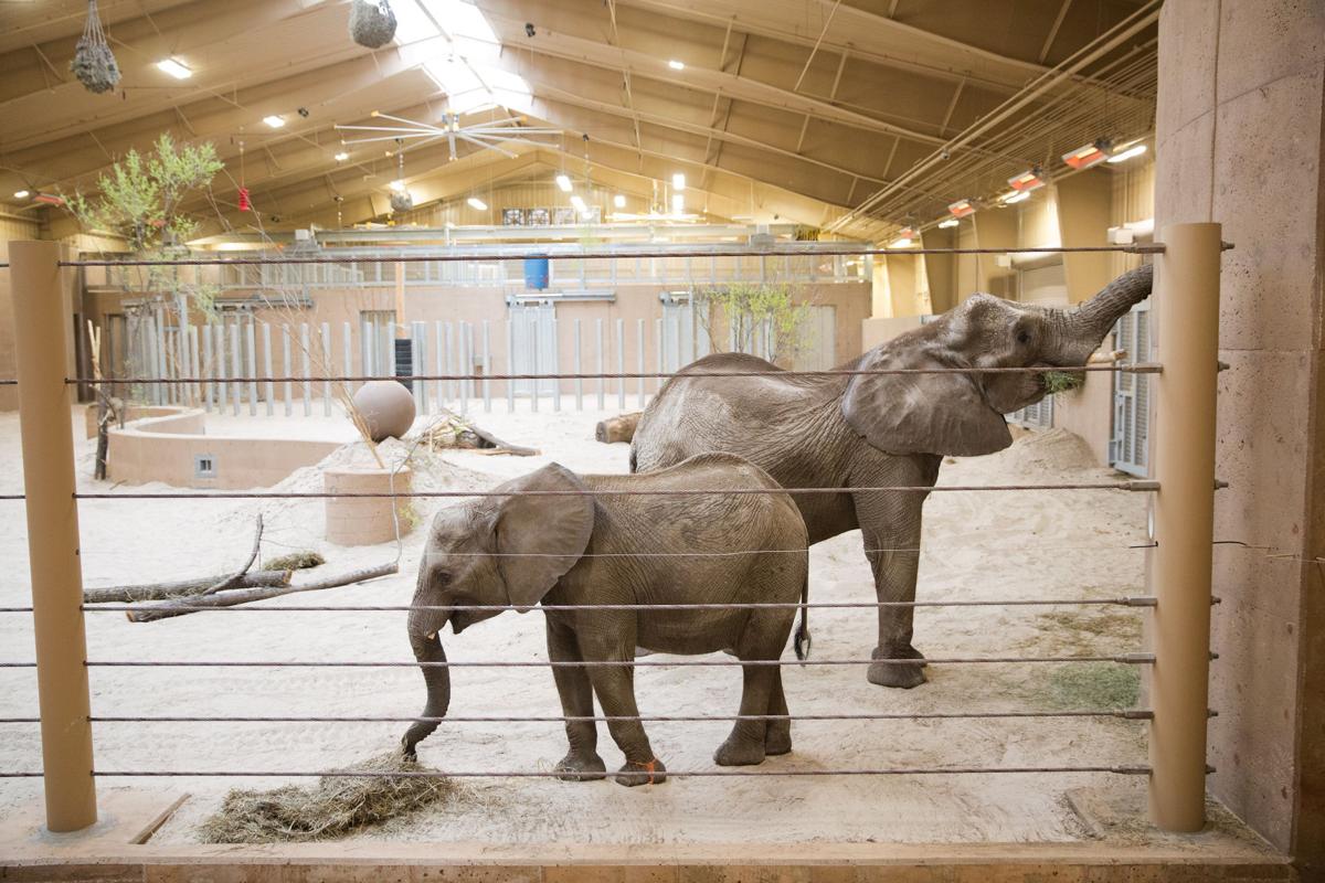 Omaha zoo announces details of new $20 million Asian Highlands exhibit