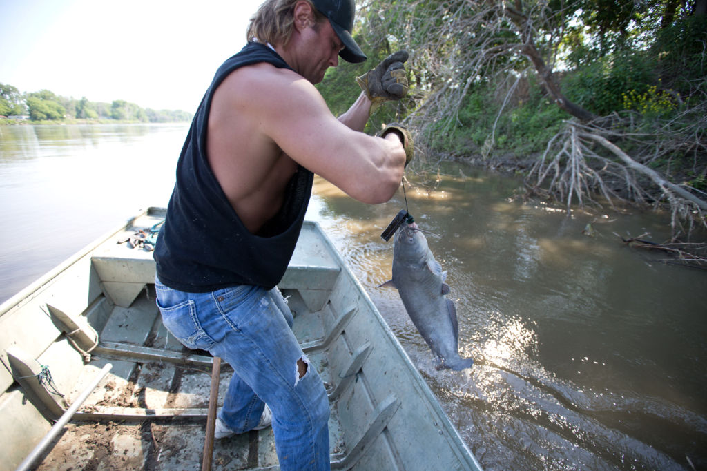Blues bring joy to river fishermen Hunting, Fishing And