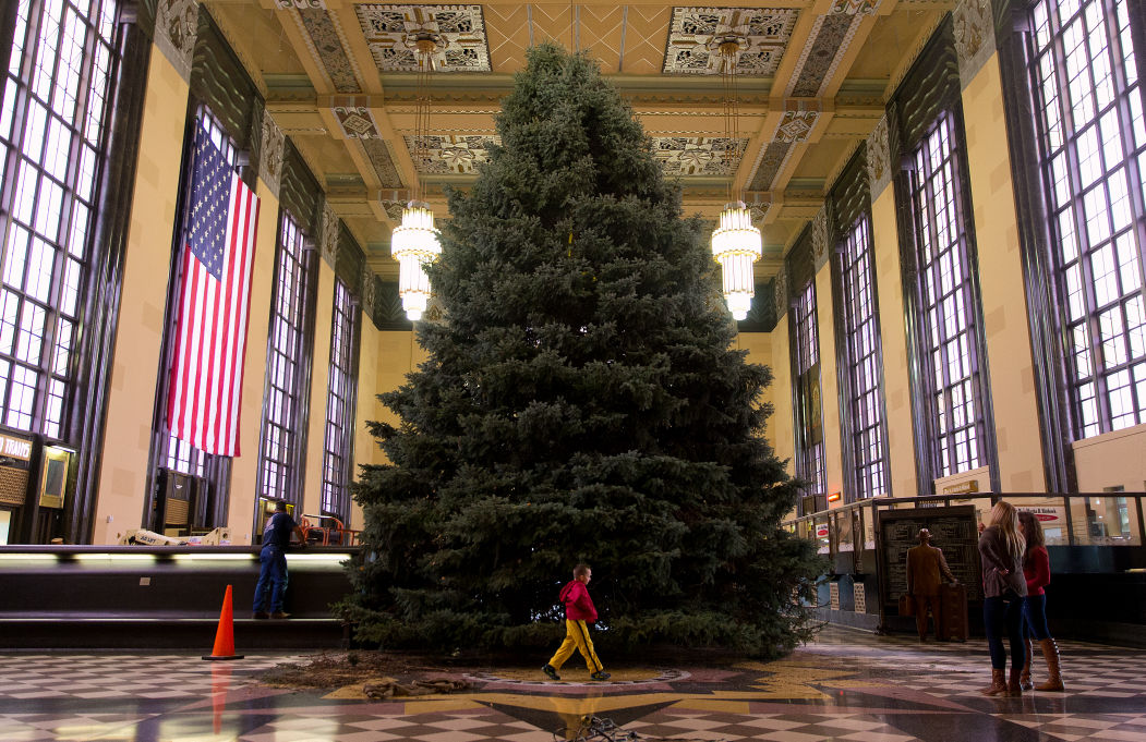 this year s durham christmas tree a 40 foot colorado blue this year s durham christmas tree a 40 foot colorado blue