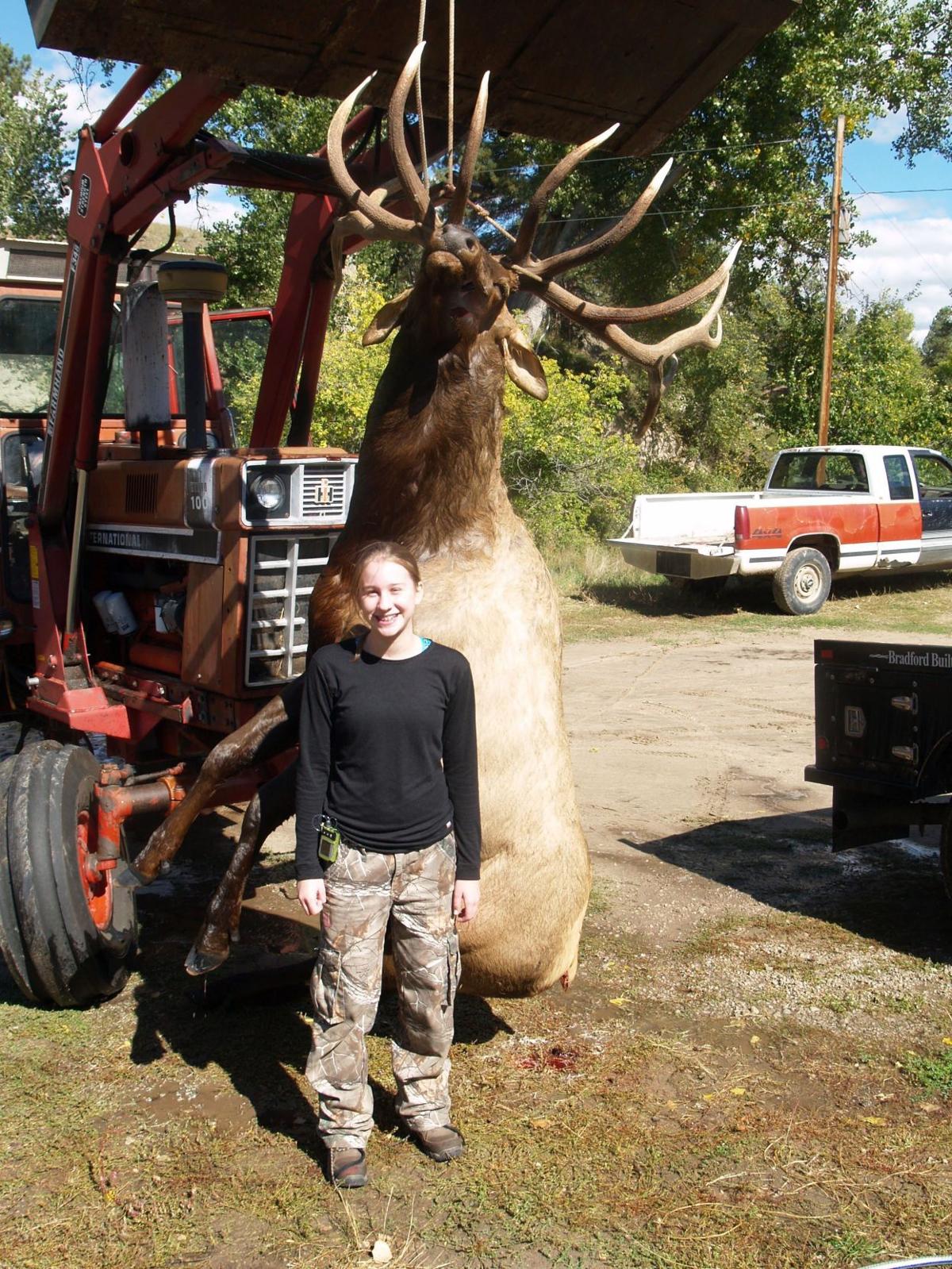 Eighthgrader's monster bull elk officially declared a state record