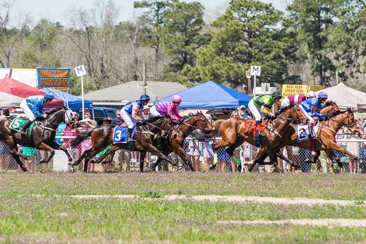 Annual Carolina Cup horse race in Camden | | postandcourier.com
