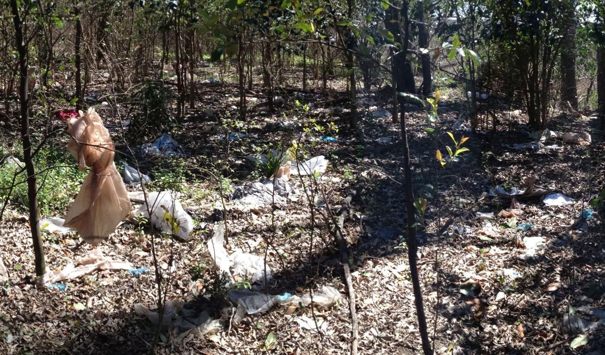 The state wants to ban local governments from banning plastic bags?