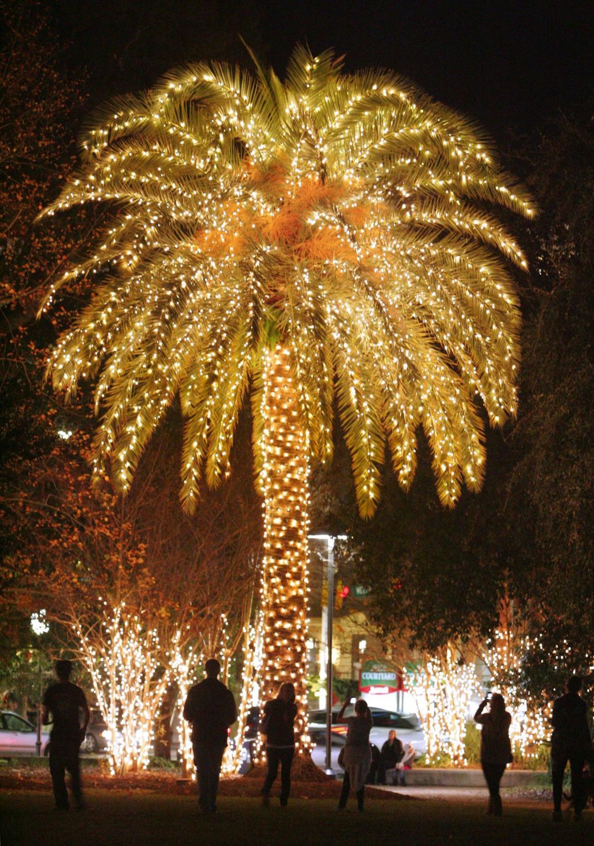 holiday events calendar charleston scene holiday events calendar charleston scene