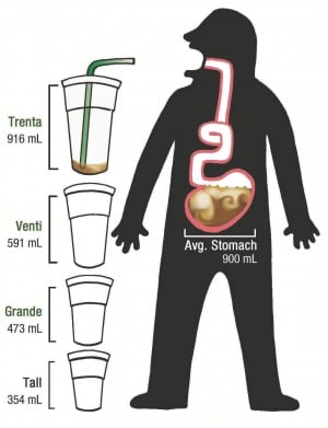 Trenta Stomach