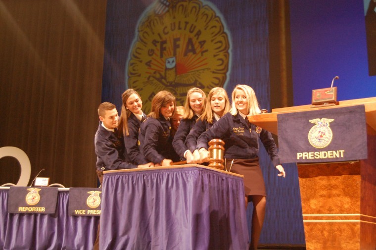 Ffa Gavel