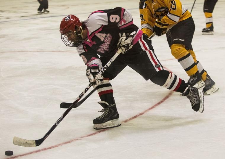 Photo Gallery vs. Kennesaw State Ice Hockey The Red and