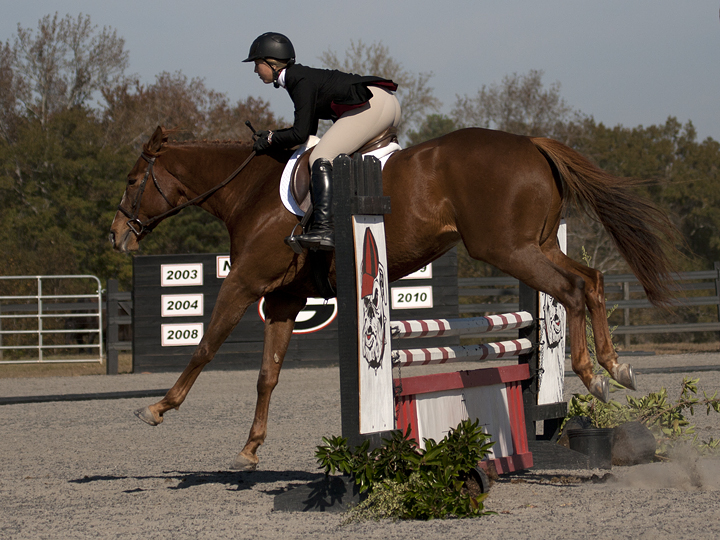 Topranked UGA equestrian reflects on win over No. 3 South Carolina