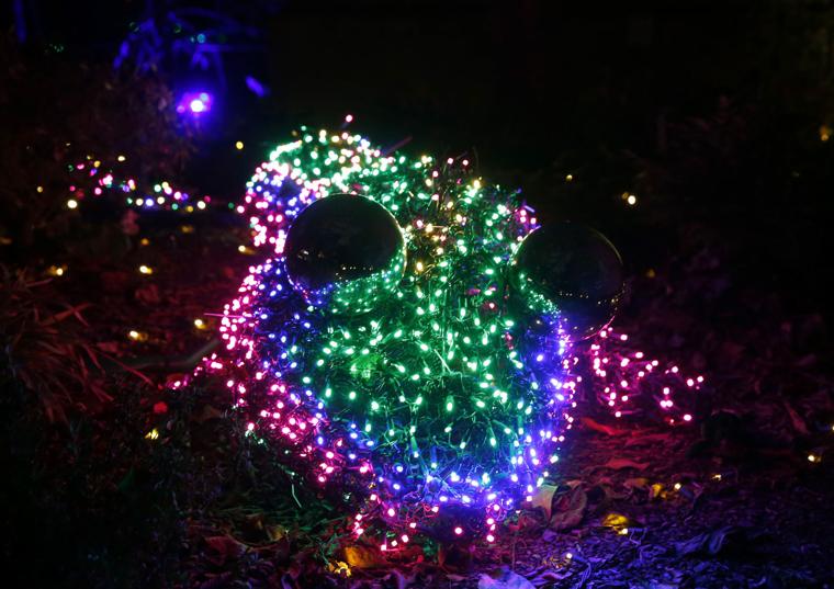 photos gardenfest of lights at lewis ginter 2016 lewis ginter botanical garden christmas lights