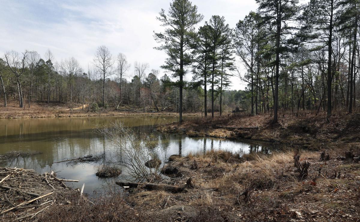 Apartments coming to Moore's Lake, once a popular swimming hole and