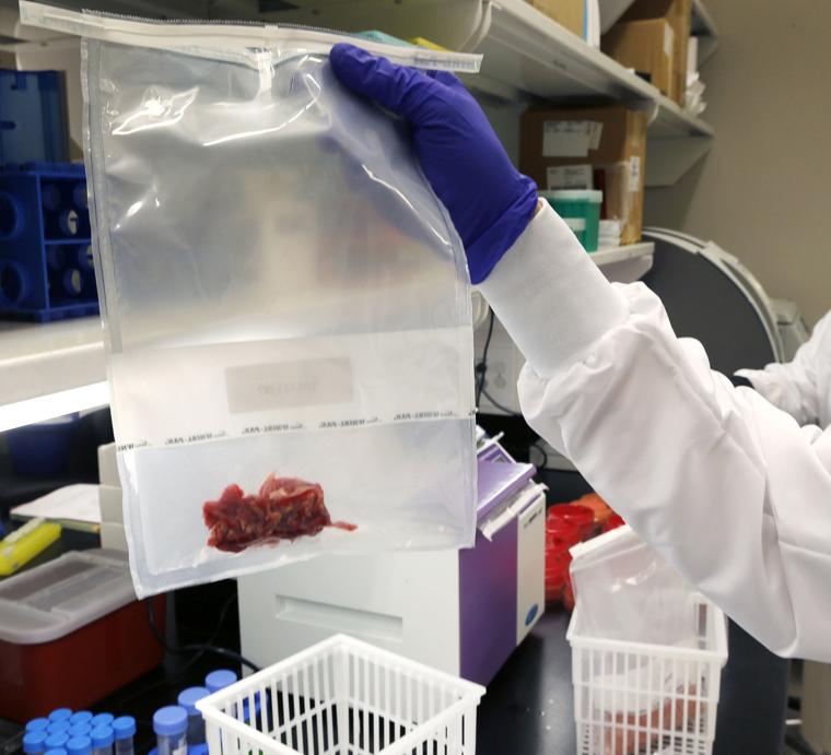 Virginia lab testing Democratic National Convention food for contamination - Richmond.com