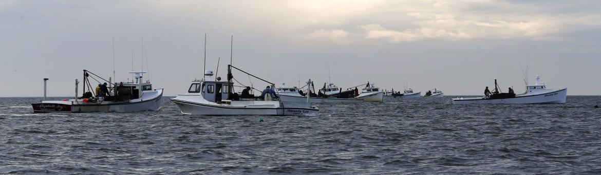 PHOTOS: The Last Chesapeake Bay Buyboat - Richmond Times-Dispatch PHOTOS: The Last Chesapeake Bay Buyboat - Richmond Times-Dispatch