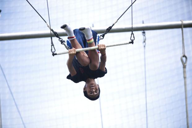 the trapeze swinger chords