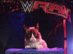 Grumpy Cat Hosts Wrestling Match