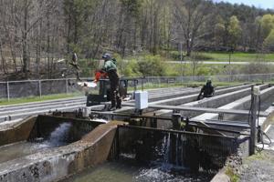 Paint Bank Visit Craig County Virginia