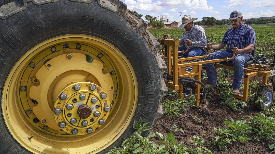 Drought dents growing season for New Mexico farmers 1 Drought dents growing season for New Mexico farmers