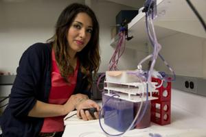 Studies shine light on mysterious placenta, how it goes awry