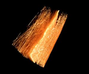 Science on the Hill: On track for a clean, hydrogen-powered future