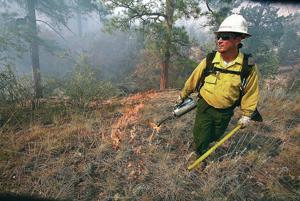 Fire top factor as officials update forest management plan