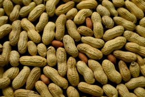 Peanuts for babies? Studies back allergy-preventing strategy