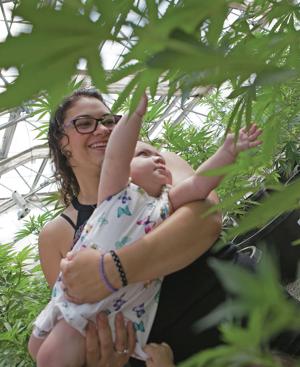 Mother’s lawsuit seeks to strike medical pot production cap
