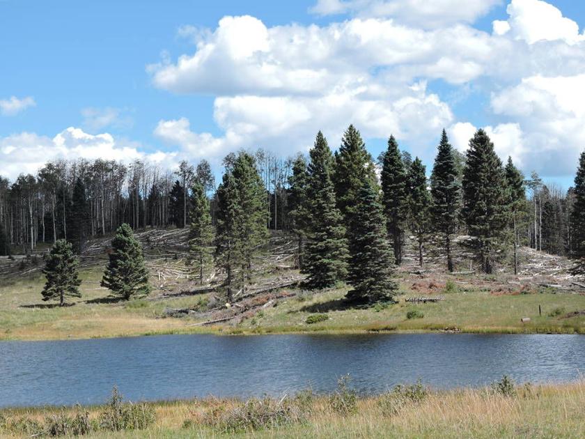 Canjilon Lakes to remain closed to visitors as forest regenerates The