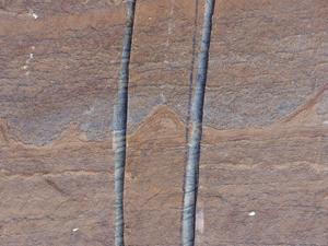 3.7 billion-year-old fossils may be oldest signs of life on Earth