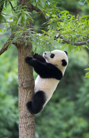 free teen zoo
