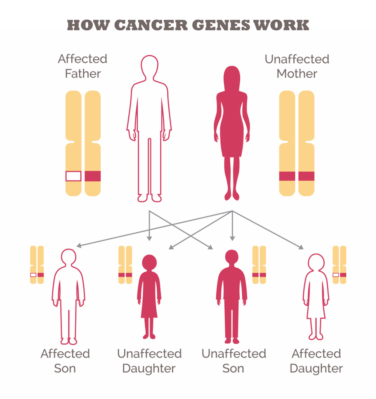 how does genetic testing work for breast cancer