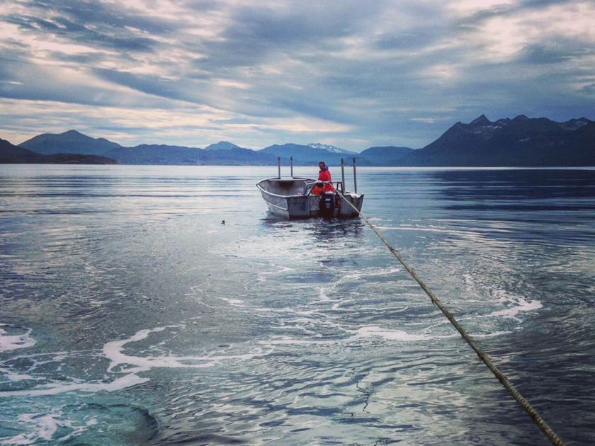 From Alaska to Faribault: Salmon fishing couple to attend farmers market - Southernminn.com