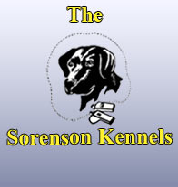 The Sorenson Kennels