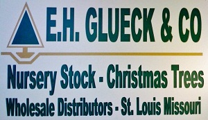 E.H. Glueck & Co
