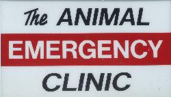 Animal Emergency Clinic