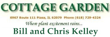 Cottage Garden