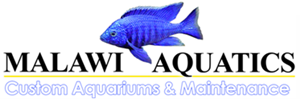 Malawi Aquatics