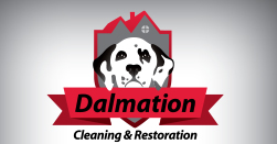 Dalmation Cleaning and Restoration