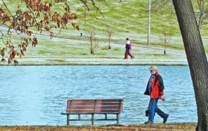 Willmore Park