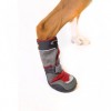 Dog boots