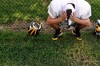 Excessive heat sidelines player