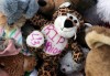 Vigil for 2 year old Darion Griffin - RIP Darion