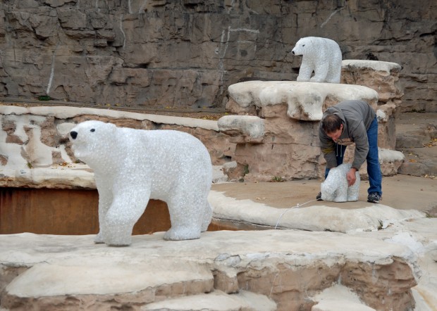 Rep. Clay, St. Louis Zoo working to allow imports of polar bears : News