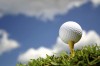 2011 St. Louis golf course map