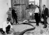 A Look Back • Prohibition dampened New Year's Eve partying