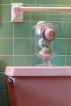 Pink Bathrooms